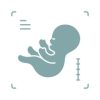 Early Pregnancy Scan