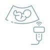 Growth & Doppler Scan Growth & Doppler Scan